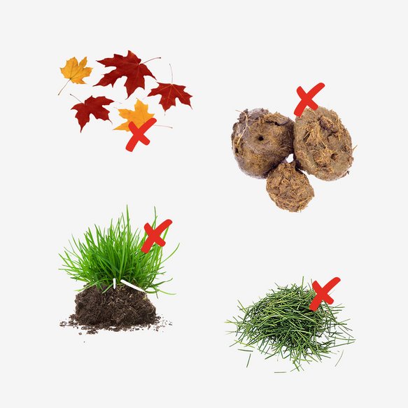 Dinge, die nicht in die Grünschnitt Tonne dürfen