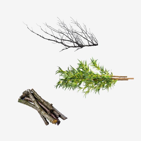 Dinge, die in die Grünschnitt Tonne dürfen