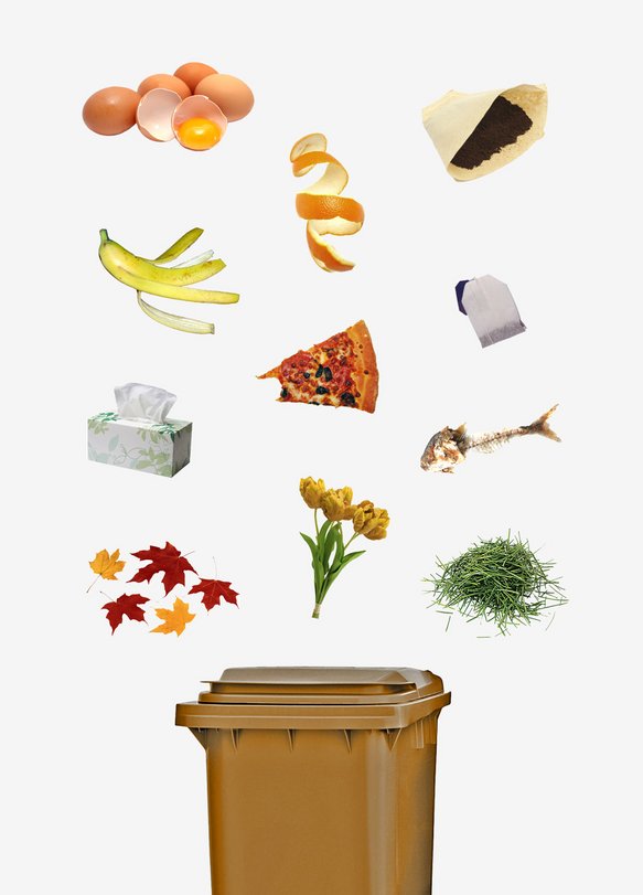 Dinge, die in die Bio Energie Tonne dürfen